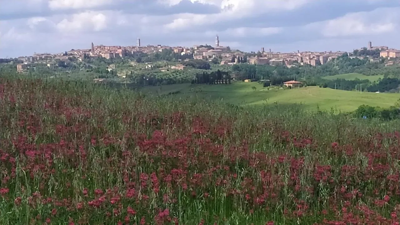 Nocleg ze śniadaniem Dago Farmhouse Siena