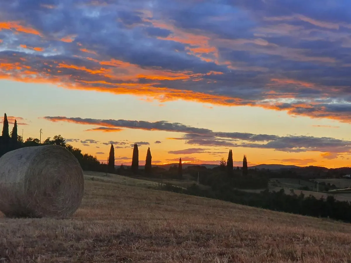 Bed & Breakfast Dago Farmhouse Siena