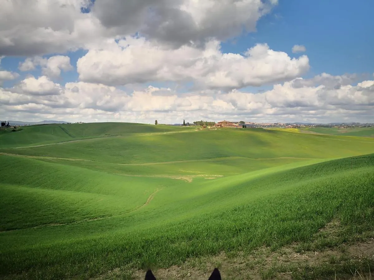Dago Farmhouse Siena Italien